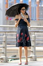 FAMKE JANSSEN Out in New York 07/01/2020