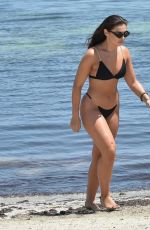 FANCESCA ALLEN in Bikini at a Beach 07/14/2020