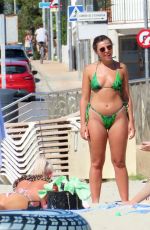 FRANCESCA ALLEN, GEORGIA STEEL and ELMA PAZAR in Bikinis at a Beach 07/07/2020