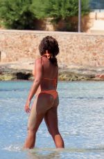 FRANCESCA ALLEN, GEORGIA STEEL and ELMA PAZAR in Bikinis at a Beach 07/07/2020