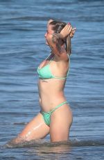 IRELAND BALDWIN in Bikini at a Beach in Malibu 07/11/2020