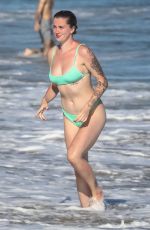IRELAND BALDWIN in Bikini at a Beach in Malibu 07/11/2020