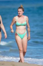 IRELAND BALDWIN in Bikini at a Beach in Malibu 07/11/2020