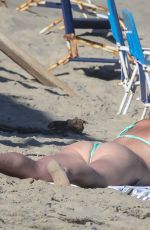 IRELAND BALDWIN in Bikini at a Beach in Malibu 07/11/2020