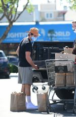 IRELAND BALDWIN Out Shoppinh in Los Angeles 07/01/2020