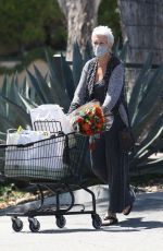 JAMIE LEE CURTIS Out Shopping at Jayde