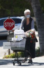 JAMIE LEE CURTIS Out Shopping at Jayde