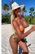JELENA KARLEUSA in Bikinis - Instagram Video and Photos, July 2020