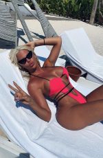 JELENA KARLEUSA in Bikinis - Instagram Video and Photos, July 2020