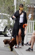 JORDANA BREWSTER Out with Her Dog in Los Angeles 07/24/2020