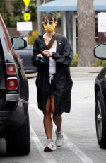 JORDANA BREWSTER Out with Her Dog in Los Angeles 07/24/2020