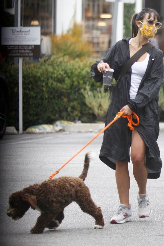 JORDANA BREWSTER Out with Her Dog in Los Angeles 07/24/2020