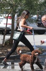 JORDANA BREWSTER Out with Her Dog in Santa Monica 07/15/2020
