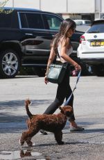 JORDANA BREWSTER Out with Her Dog in Santa Monica 07/15/2020