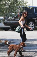 JORDANA BREWSTER Out with Her Dog in Santa Monica 07/15/2020