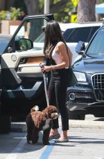 JORDANA BREWSTER Out with Her Dog in Santa Monica 07/15/2020