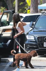 JORDANA BREWSTER Out with Her Dog in Santa Monica 07/15/2020