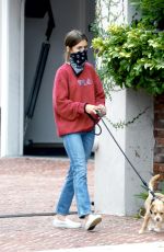 LILY COLLINS and Charlie McDowell Out with Their Dog in Los Angeles 07/22/2020