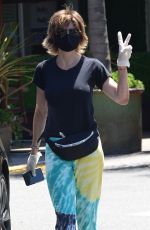 LISA RINNA Wearing a Mask Out in Beverly Hills 07/27/2020