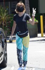 LISA RINNA Wearing a Mask Out in Beverly Hills 07/27/2020