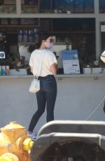 LUCY HALE and NINA DOBREV Out in Los Angeles 07/18/2020