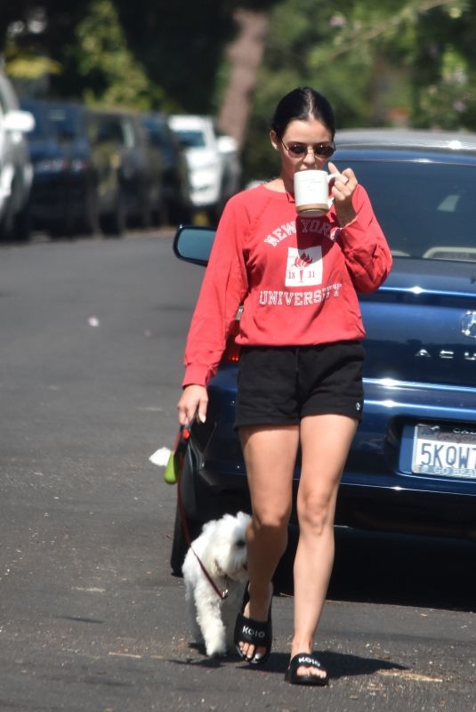 LUCY HALE in Shorts Out with Elvis in Studio City 07/16/2020