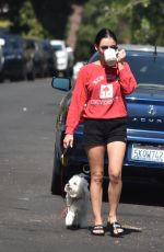 LUCY HALE in Shorts Out with Elvis in Studio City 07/16/2020