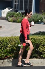 LUCY HALE in Shorts Out with Elvis in Studio City 07/16/2020