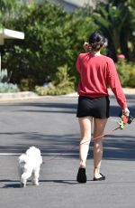 LUCY HALE in Shorts Out with Elvis in Studio City 07/16/2020