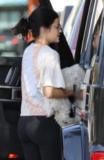 LUCY HALE Out for Coffee with a Friend in Studio City 06/30/2020