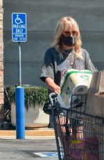 MALIN AKERMAN in a Denim Shorts Out Shopping in Los Angeles 07/12/2020