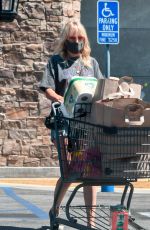 MALIN AKERMAN in a Denim Shorts Out Shopping in Los Angeles 07/12/2020