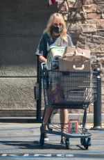 MALIN AKERMAN in a Denim Shorts Out Shopping in Los Angeles 07/12/2020