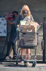 MALIN AKERMAN in a Denim Shorts Out Shopping in Los Angeles 07/12/2020