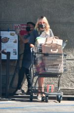 MALIN AKERMAN in a Denim Shorts Out Shopping in Los Angeles 07/12/2020