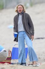 NAOMI WATTS at a Picnic on the Beach in Hamptons 07/08/2020