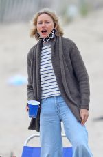 NAOMI WATTS at a Picnic on the Beach in Hamptons 07/08/2020