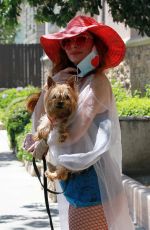 PHOEBE PRICE Out with Her Dog in Los Angeles 07/08/2020