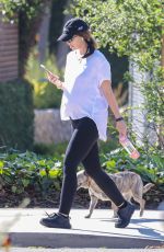 Pregnant KATHERINE SCHWARZENEGGER Out with Her Dog in Santa Monica 07/06/2020