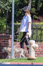 Pregnant KATHERINE SCHWARZENEGGER Out with Her Dogs in Los Angeles 07/12/2020