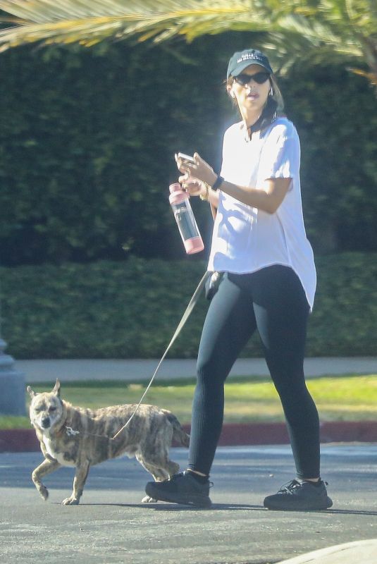 Pregnant KATHERINE SCHWARZENEGGER Out with Her Dogs in Los Angeles 07/12/2020