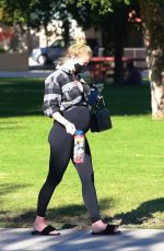 Pregnant SOPHIE TURNER and Joe Jonas with Friends at a Park in Los Angeles 07/16/2020