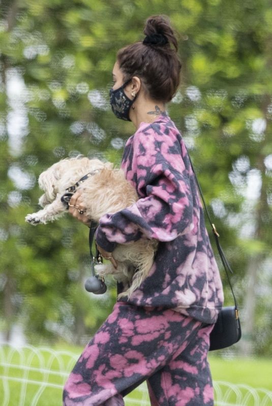 VANESSA HUDGENS Out with her Dog in Beverly Hills 07/22/2020