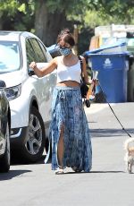 VANESSA HUDGENS Out with Her Dog in Los Angeles 07/02/2020