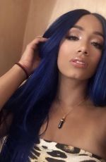 WWE Divas Instagram Photos