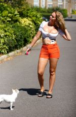 AISLEYNE HORGAN WALLACE Out with Her Dog in London 08/16/2020