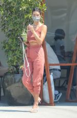 ALESSANDRA AMBROSIO Out for Fresh Juice in West Hollywood 08/19/2020