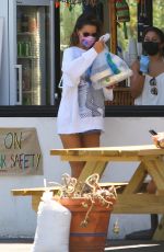 ALESSANDRA AMBROSIO Out for Take-out Lunch in Malibu 08/14/2020