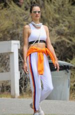ALESSANDRA AMBROSIO Out Hiking in Pacifis Palisades 08/05/2020