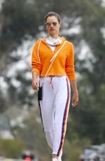 ALESSANDRA AMBROSIO Out Hiking in Pacifis Palisades 08/05/2020